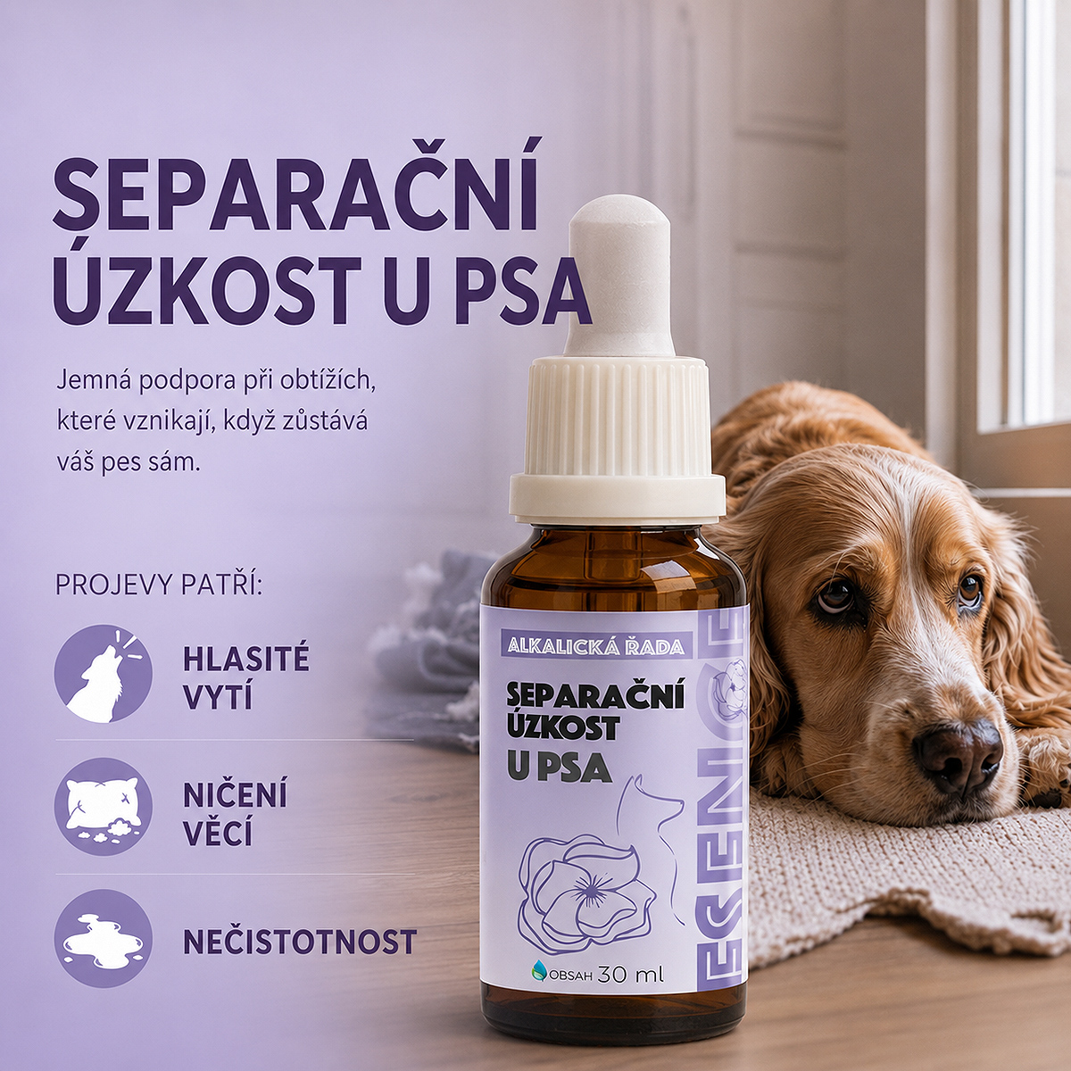 Separační úzkost u psa a jeho hlasité vytí, ničení věcí a znečišťování