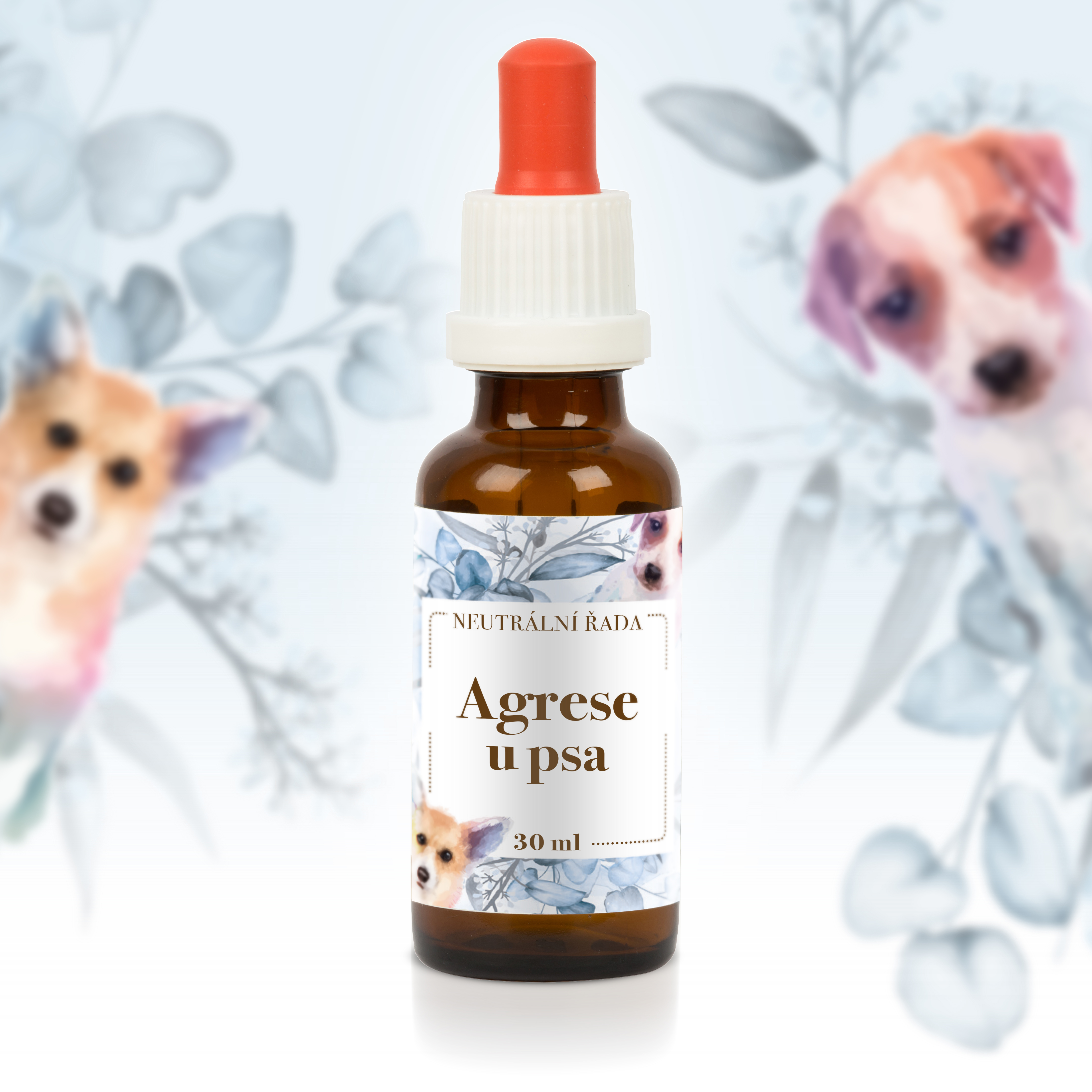 KNZ02_Agrese_u_psa_FB