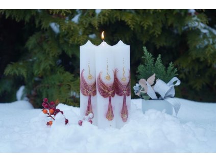 Zarici posel roku 2026 02