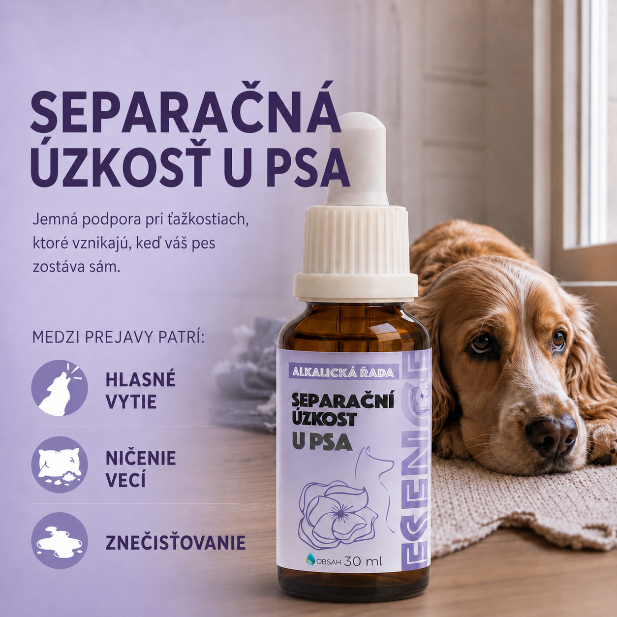 Separačná úzkosť u psa hlasné vytie, ničenie vecí a znečisťovanie domácnosti