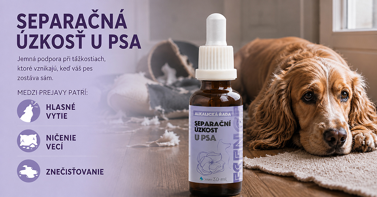 separačná-úzkost-u-psa-1200x628