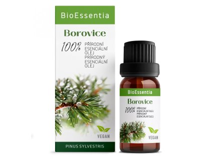 SK CZ Borovice Vegan