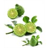 bergamot