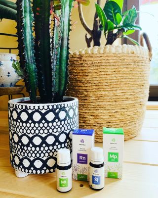 Taky už se těšíte na svoji bylinkovou zahrádku? 🌿 #salvej #mata #rozmaryn #esencialnioleje #eterickeoleje #bylinky
