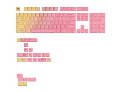 GAKC 581 40fc6c1743d008f8a1b2a0fd0378e694666fdf59