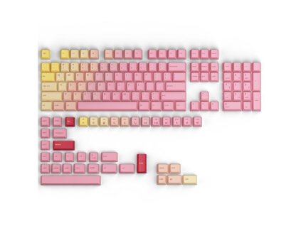 ProductImage GAKC 365 01 4747835da04999a41f405a6f1baeee46