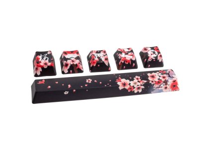 ProductImage GAKC 158 01 1b04a44e80c9f944475e4971bc1fec81