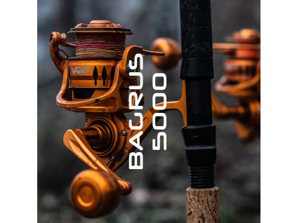 BAGRUS 5000 eshop