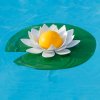 thermometre piscine lotus (2)