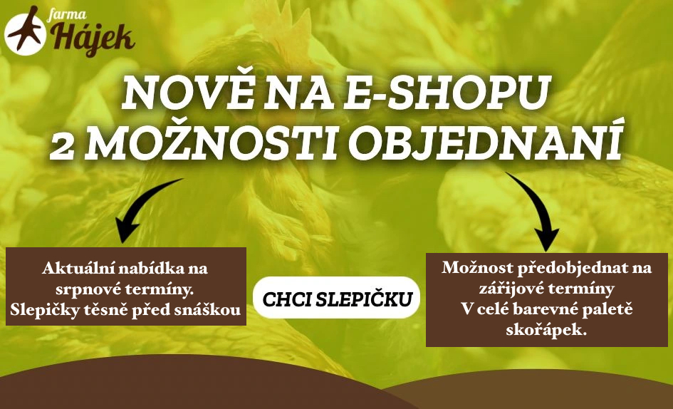 Slepiċky