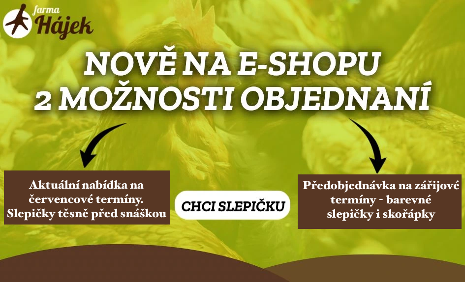 Slepiċky