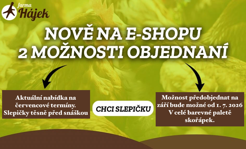 Slepiċky