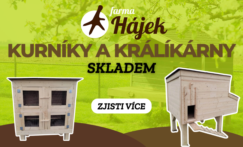 KURNÍKY