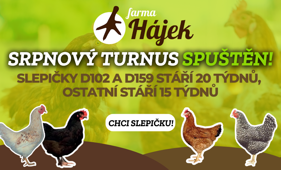 Slepiċky