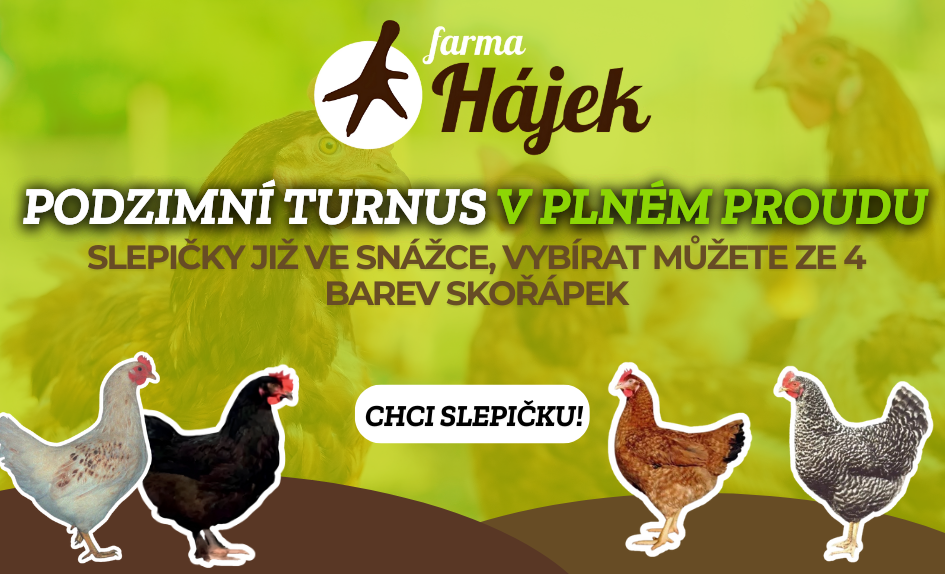 Slepiċky