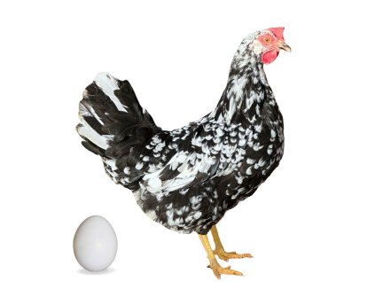 Screenshot 2025 11 12 at 8.59.14