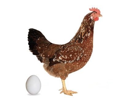 Screenshot 2025 11 12 at 9.00.20