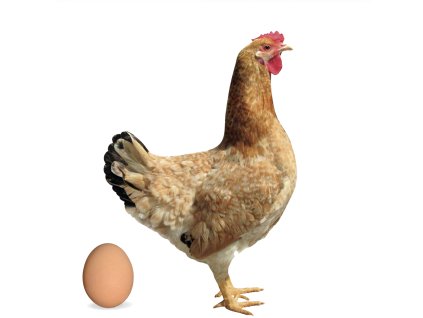 Screenshot 2025 11 12 at 8.54.41