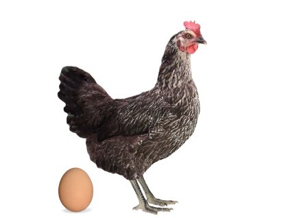 Screenshot 2025 11 12 at 8.55.51