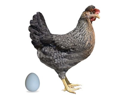 Screenshot 2025 11 12 at 9.01.16