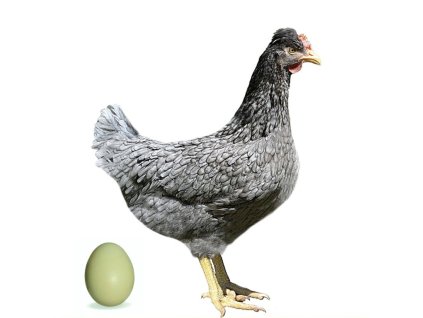 Dominant Greenshell - Mix barev