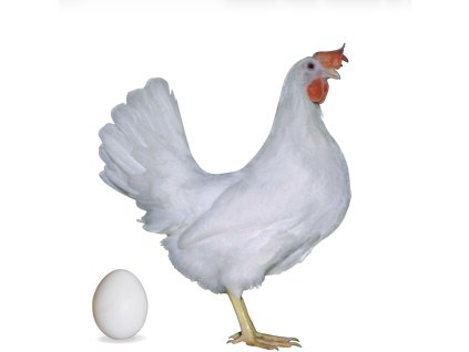 Screenshot 2025 11 12 at 8.58.38