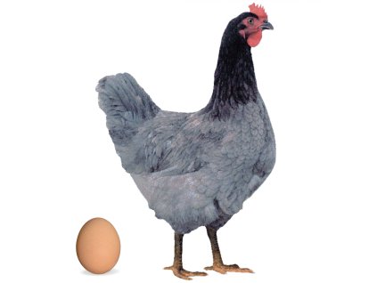 Screenshot 2025 11 12 at 8.52.23