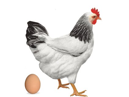 Screenshot 2025 11 12 at 8.51.41