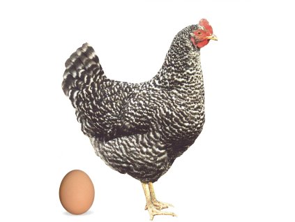 Screenshot 2025 11 12 at 8.56.58