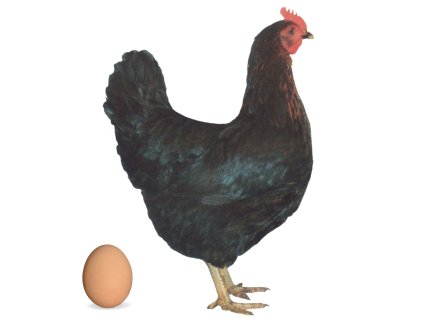 Screenshot 2025 11 12 at 8.52.52