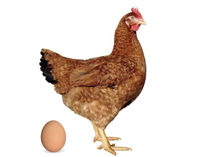 Screenshot 2025 11 12 at 8.53.38