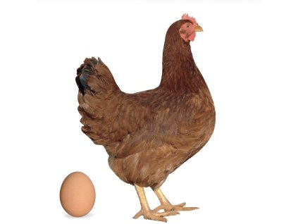 Screenshot 2025 11 12 at 8.56.14