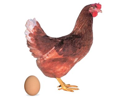 Screenshot 2025 11 12 at 8.51.04