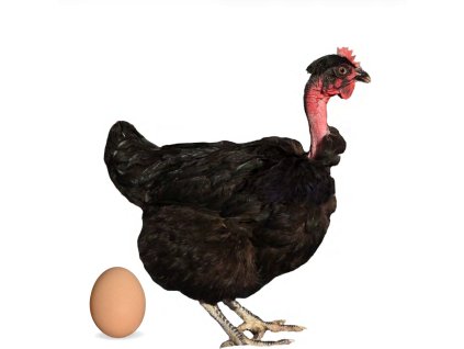 Screenshot 2025 11 12 at 8.58.02