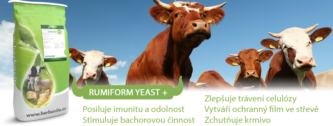Rumiform Yeast