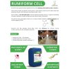 RUMIFORM CELL(2)