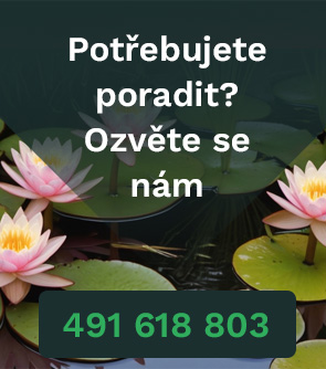 Kontakt