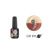 Platinum BOOSTER Color -Cat Eye Thermo - Newton - Smart 7,8ml (729)