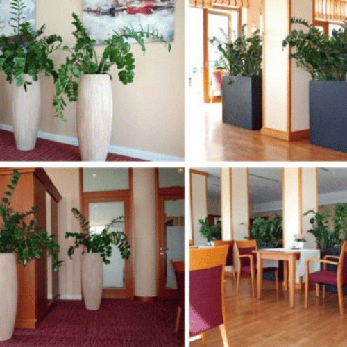 Velké květináče v hotelu Atlantic