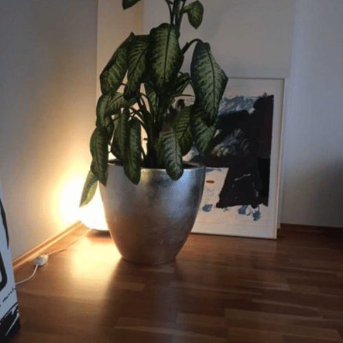 Květináč ze sklolaminátu OLIVIA v interiéru