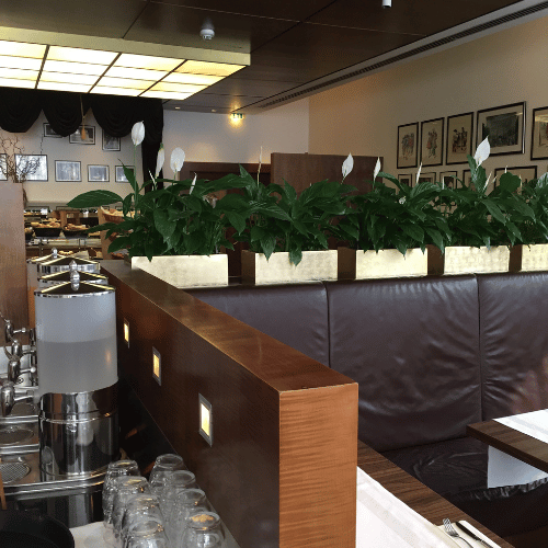 Elegantní zlaté truhlíky FLOBO v hotelové restauraci