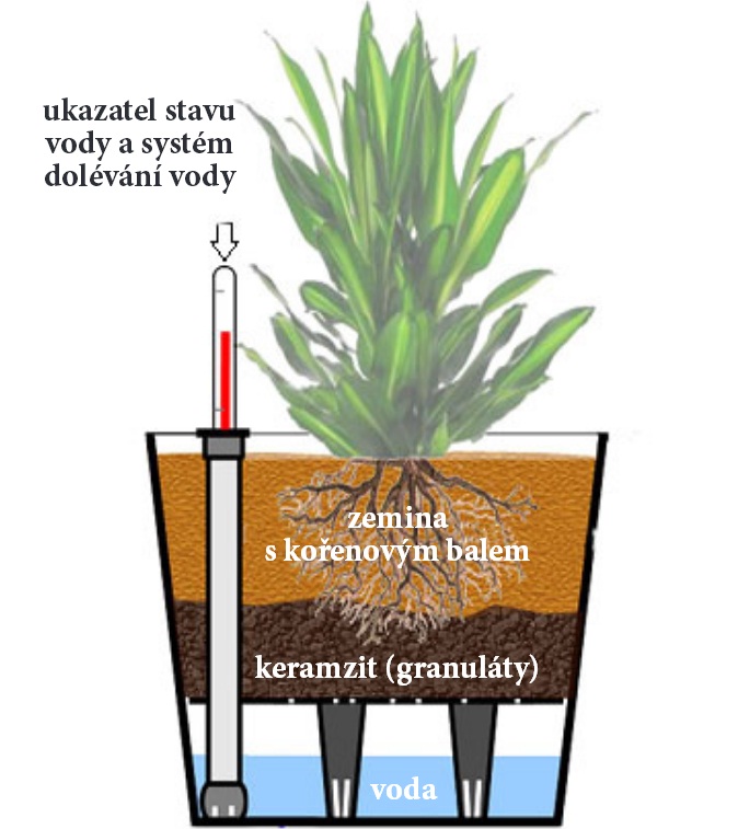 Samozavlazovaci Truhlik Navod (truhlíky jsou, pěstovaných rostlin, Samozavlažovací truhlíky) Samozavlazovaci Truhlik Navod