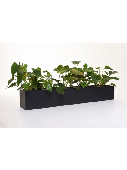 Truhlík FLOBO, sklolaminát, šířka 100 cm, antracit