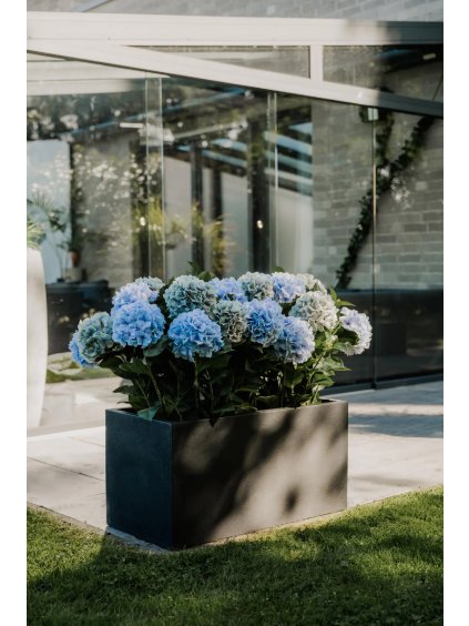 pflanztrog pflanzkuebel steinoptik anthrazit 80 maxi garten terrasse 01