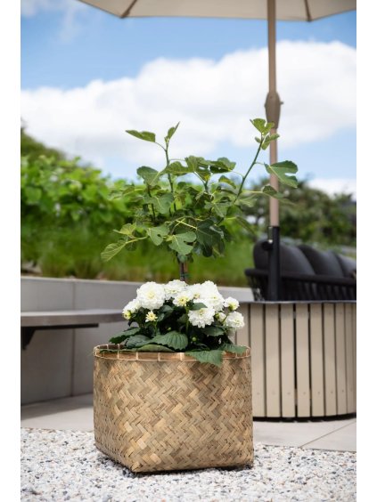 pflanzkuebel bambus fiberzement natur cistella 48x36 cistella natur 01 4066147006417