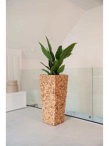 Květináč WILD, vodní hyacint, výška 80 cm, natur, outlet