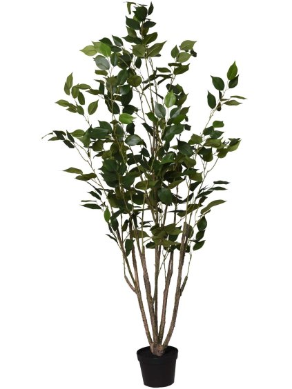 Umělý kaučukovník ALBERO, plast, výška 125 cm, zelená