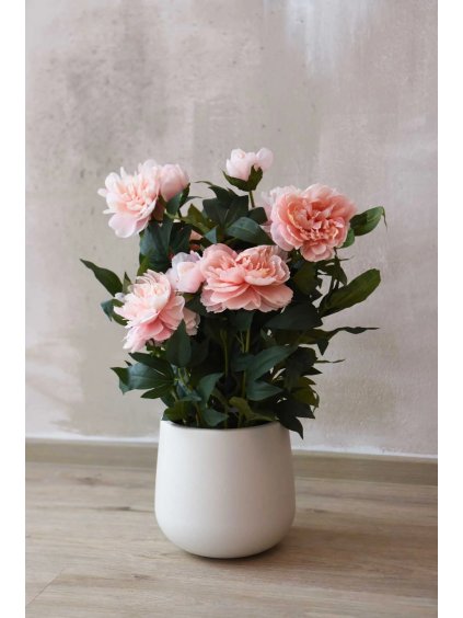 Umělá pivoňka v krémovém květináči PEONY, výška 70 cm, růžová