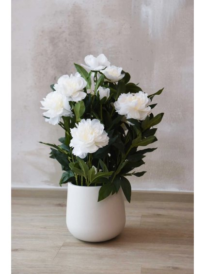 Umělá pivoňka v krémovém květináči PEONY, výška 70 cm, bílá