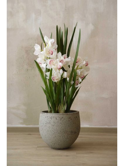 blumentopf erdgrau rafiot 32x27 01 4066147010742